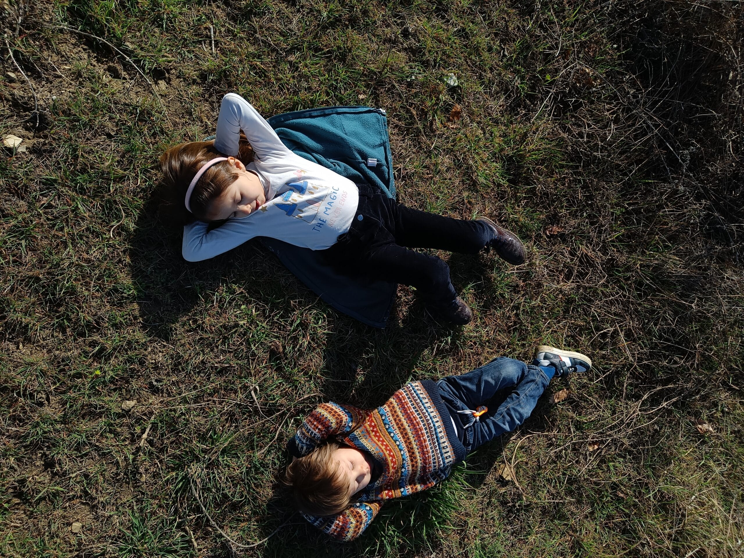 Programma salva inverno